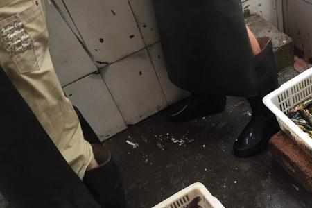 梭边鱼和江团是不是一样的鱼呢