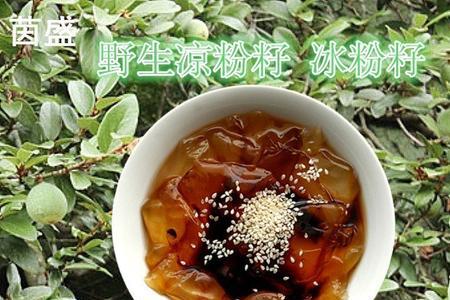 为什么冰粉籽今年那么贵
