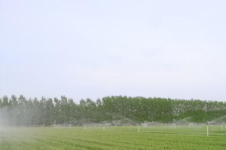 什么是减垄增地