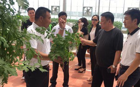 邯郸城乡发展有限公司是国企吗