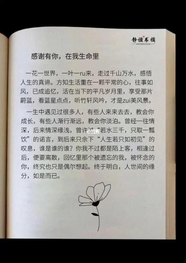 感谢你的生命里有我是什么意思