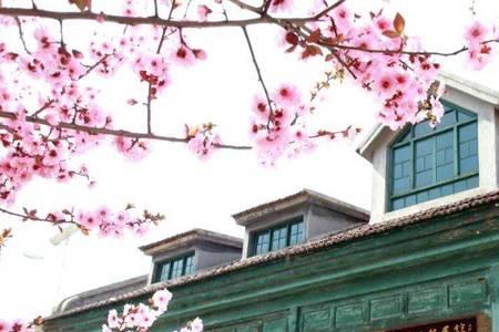 槐荫有什么大学