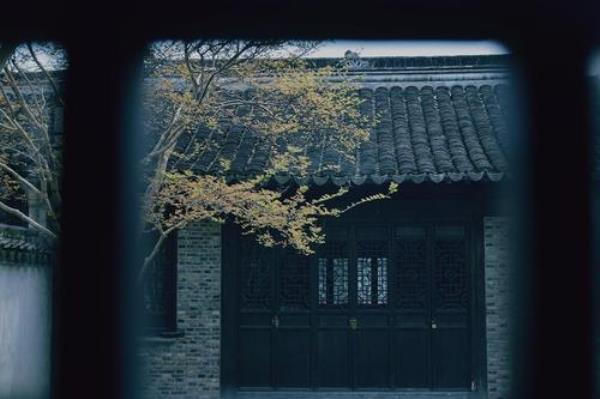 窥井自照告诉我们什么