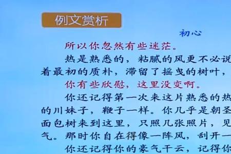 环境描写烘托自己的心情50字