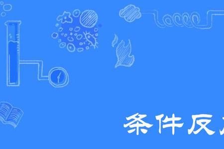 反应的名词解释