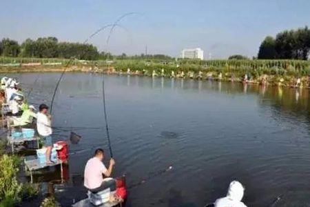 湄水桥有鱼钓么