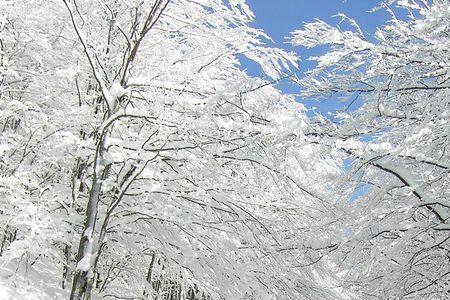 雪是怎么消失的