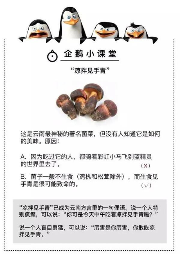 我吃菌子了是什么意思