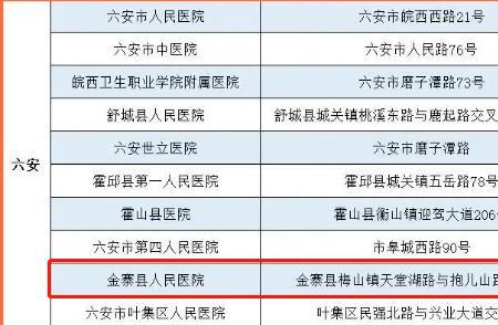 安徽省六安市医保怎么查