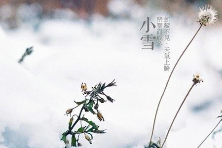 小雪节气几点几分