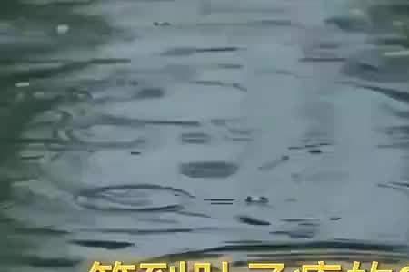 歌词找歌名搞笑