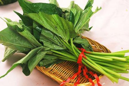 薯尖是不是转基因食品