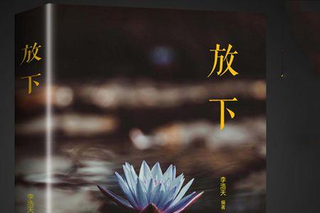 放下那个放不下的人歌词的意思