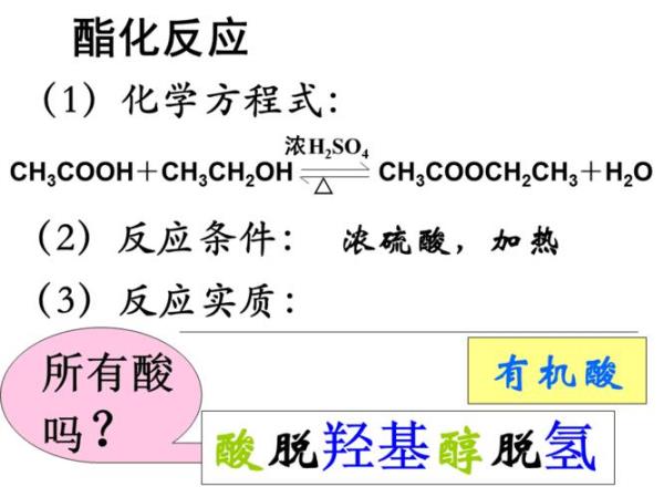酯化反应操作及操作要点