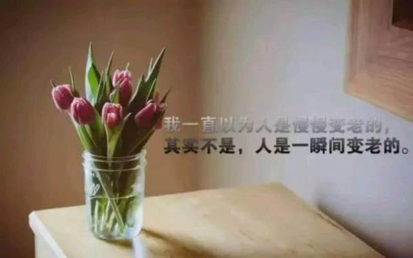 没换来他的醒悟什么意思