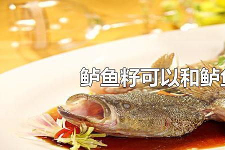 鲈鱼籽蒸几分钟