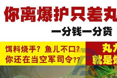 怎样用丸九鲤鱼旗饵枓