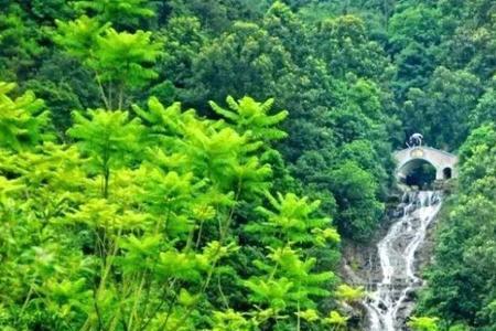 白水山森林公园怎么样