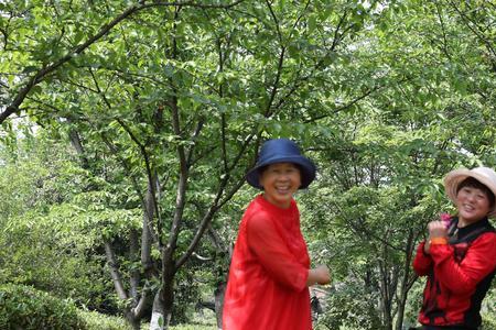 如花如茶女主是谁
