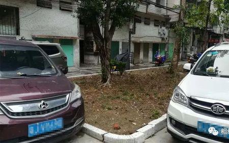 小公园路边停车有拍照吗
