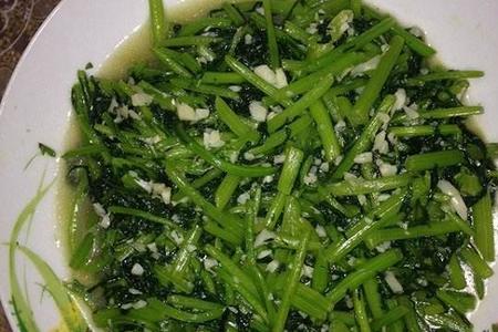 茼蒿走高速是绿通吗