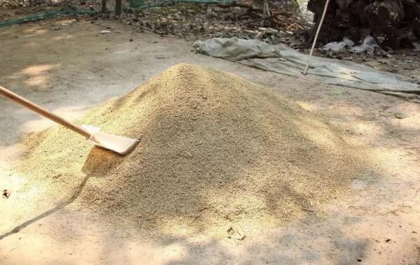 养牛用黄豆和豆粕哪个营养好