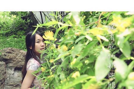 听风凭栏的意思