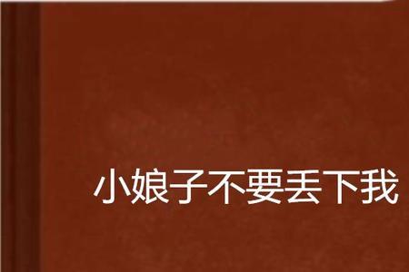 我是你的小娘子是什么歌