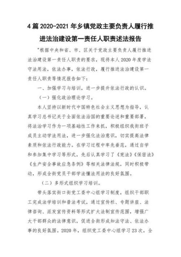 述法报告什么意思