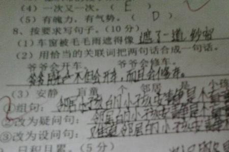 陈述句改设问句怎么改