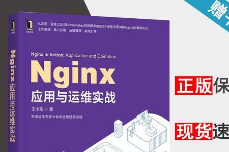 王小东写过什么书