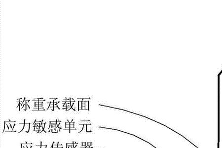 火车称重装置叫什么