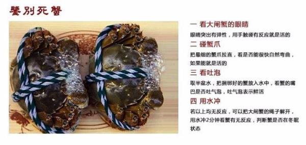 大闸蟹和海蟹的区别，怎么样