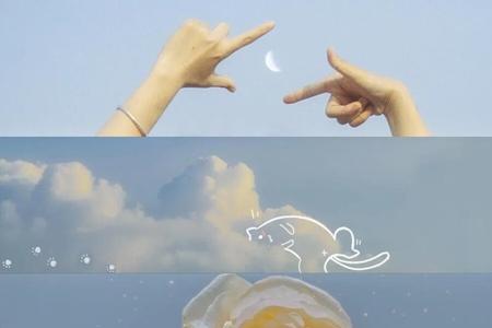 徒手摘星，爱而不得是什么意思