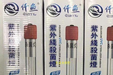 鱼缸杀菌uv灯和臭氧哪个好