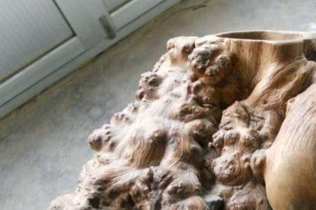 黄檀是黄荆吗