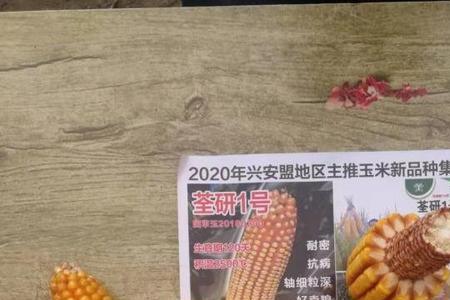 航星708玉米品种审定公告