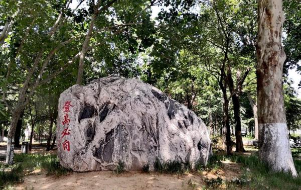 登高方知天高远下一句