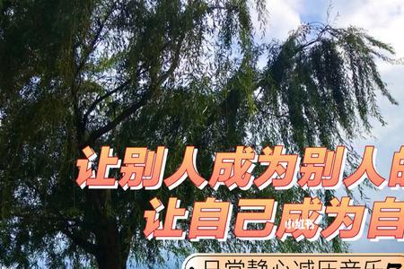 静心减压什么意思