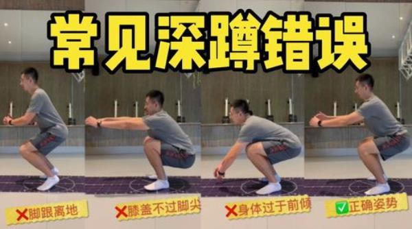 背屈的反义词