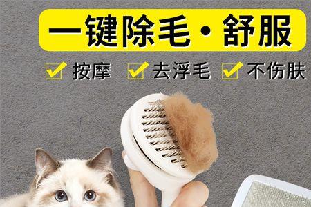 猫咪拉毛是怎么回事