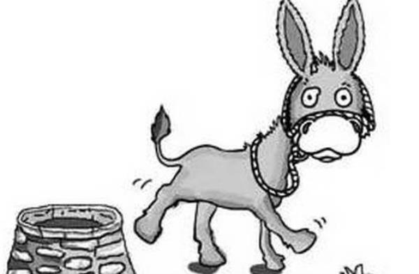 犟总是什么意思