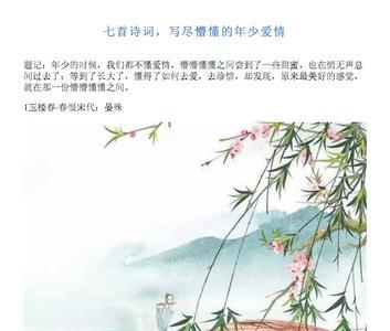懵懂半生谁写的