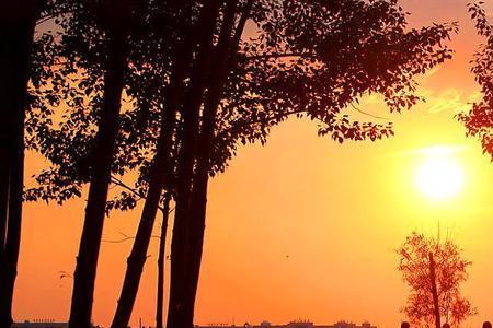 面对夕阳前后左右是什么方向