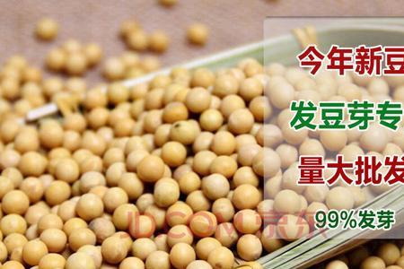珍珠豆的存放
