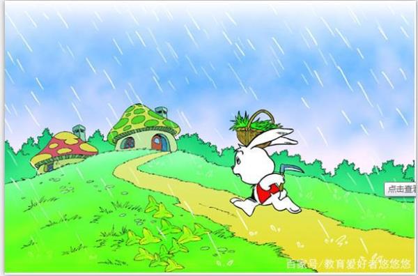 荷叶圆圆,小兔什么