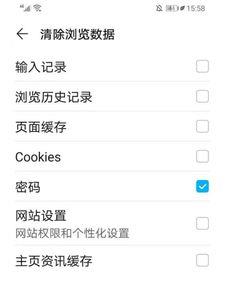 浏览器保存的密码怎么导出