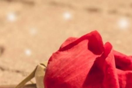 做到无我的人还会动心吗