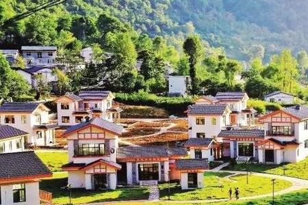 5155乡村建设行动指的是