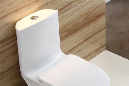 最大口径的马桶